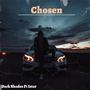 Chosen (feat. DarkShades) [Radio Edit]