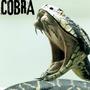 Cobra (Explicit)