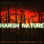 Harsh Nature