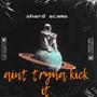 Aint tryna kick it (Explicit)