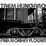 Trem Hungaro