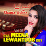 Sta Meena Lewantoob Dey, Vol. 26