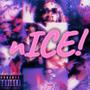 The nICE Tape (Explicit)