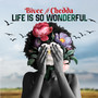 Life is so wonderful (Remix)