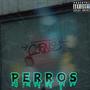 PERROS (Explicit)