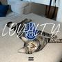 loyalty (feat. PavloGass) [Explicit]