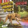 Domestic Animals Attack (Explicit)