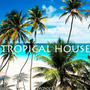 Tropical house