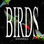 BIRDZ (Explicit)