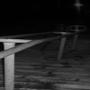 proces (Explicit)