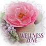 Wellness Zone - Body Scrub, Essential Oils to Hydrating, Regenerating Lotion, Refreshing Water, Silent Music Calms, Getting Rid of Stress