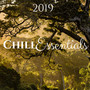 Chill Essentials 2019 - Ambient Music with Nature Sounds