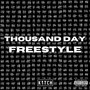 Thousand Day Freestyle (Explicit)