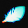 Wings (Explicit)