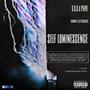 Self Luminescence (Explicit)