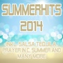 Summerhits 2014 (incl. Salsa Tequila, Prayer in C, Summer and many more)