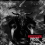 Possession Posse (feat. B-Dub, Mr. Sche, Dj Insane & Slick Mane) [Explicit]