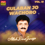 Gulaban Jo Wachoro, Vol. 13