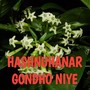 HASHNUHANAR GONDHO NIYE