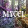 MYCEL (Explicit)