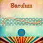 Baculum (Explicit)