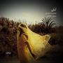 Leilii (feat. Mohammadreza Shajarian)