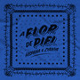 A Flor de Piel