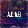 A.C.A.B (Explicit)