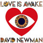 Love is Awake