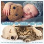 Lullabies for Babies and Pets