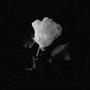 Faded Love (feat. SHRIII)