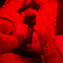 Tiger Woods (Explicit)