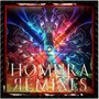 Homura Remixes