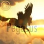 Pegasus