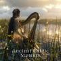 Ancient Celtic Slumber: Tranquil Sleep with Traditional Harp & Flute