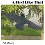 A Bird Like That