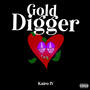 Gold Digger (Explicit)