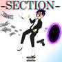 Section! (Explicit)