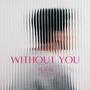 Without You