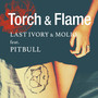 Torch & Flame (feat. Pitbull)