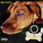 God Dog (Explicit)