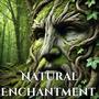 Natural Enchantment: Celtic Harp in the Heart of the Forest