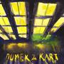 DOMEK Z KART