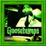 GooseBumps (Explicit)