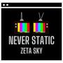 Never Static