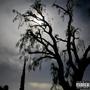 JUST ME AND THE MOON (Explicit)