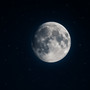 Ombre nella notte