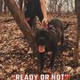 Ready Or Not (Explicit)