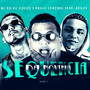 Sequência da Novinha (feat. Kross) (Remix Brega Funk) [Explicit]