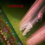 Anymore (feat. yu2) [Explicit]